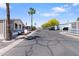 Quiet neighborhood street with palm trees and well-maintained homes, showcasing community living and appeal at 535 S Alma School Rd # 85, Mesa, AZ 85210