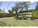 Backyard with mature tree and view of covered patio at 5815 N 10Th Pl, Phoenix, AZ 85014