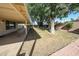 View of the lush backyard with mature tree and block wall fencing at 8017 W Eugie Ave, Peoria, AZ 85381