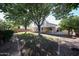 Beautiful backyard with mature trees, ideal for relaxation and outdoor activities at 8017 W Eugie Ave, Peoria, AZ 85381