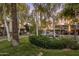 Serene community street view featuring charming townhomes, mature trees, and beautifully landscaped green spaces at 942 S Ash Ave # 104, Tempe, AZ 85281