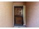 Close-up of the decorative front door, providing security and curb appeal at 1010 E Lois Ln, Phoenix, AZ 85020