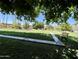 Lush green lawn area with mature trees and a bench to relax and enjoy the peaceful scenery at 1010 E Lois Ln, Phoenix, AZ 85020