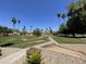 Expansive green space with palm trees, walking paths, and lush landscaping at 1010 E Lois Ln, Phoenix, AZ 85020