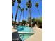 Outdoor pool surrounded by tall palm trees under a clear blue sky with tile water entrance at 1010 E Lois Ln, Phoenix, AZ 85020