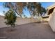 Spacious backyard with gravel, block wall, and covered patio, perfect for outdoor enjoyment at 1120 E Harbor View Dr, Gilbert, AZ 85234