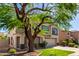 Home exterior featuring a large shade tree in the front yard and neutral stucco at 11455 E Persimmon Ave, Mesa, AZ 85212