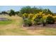 Community green space with vibrant yellow flowers and grass at 12027 W Morning Dove Dr, Sun City, AZ 85373