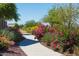 Scenic walking path lined with colorful flowers and desert landscape at 12027 W Morning Dove Dr, Sun City, AZ 85373
