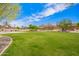 Well-maintained community park featuring lush green space and recreational facilities for residents at 14809 N El Frio Cir, El Mirage, AZ 85335