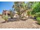 Beautiful backyard showcasing native desert landscaping, with cacti and native plants at 15161 W Cactus Ridge Way, Surprise, AZ 85374