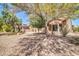 Tranquil backyard with mature landscaping and native plants, creating a serene outdoor oasis at 15161 W Cactus Ridge Way, Surprise, AZ 85374