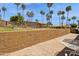 Community pool area with a well-manicured lawn and many tall palm trees at 16276 E Rosetta Dr # 58, Fountain Hills, AZ 85268