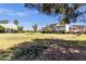 Lush community lawn with scattered trees offering shade and a serene view of the surrounding homes at 19601 N 7Th St # 2095, Phoenix, AZ 85024