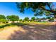 Sprawling backyard with mature trees, lush lawn and room for entertaining at 2350 E Melrose St, Gilbert, AZ 85297