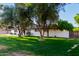 Single-story home features a lush green lawn with mature trees in the front yard, offering shade and curb appeal at 2350 E Melrose St, Gilbert, AZ 85297