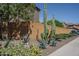Attractive landscaping with mature cacti and desert plants lining a well-maintained sidewalk at 26062 W Potter Dr, Buckeye, AZ 85396