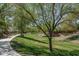 Picturesque green space with walking path, mature trees, and lush grass, creating a serene environment at 26062 W Potter Dr, Buckeye, AZ 85396