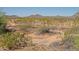 Natural desert landscape with native vegetation and mountain views at 26624 N 41St St, Cave Creek, AZ 85331