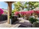 Cozy outdoor patio with lush plants, seating, an outdoor kitchen, and a relaxing atmosphere at 5018 E Kathleen Rd, Scottsdale, AZ 85254