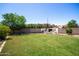 Large grassy backyard featuring mature trees and a charming outdoor fireplace with seating area at 556 W Sagebrush St, Gilbert, AZ 85233