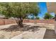 Wide view of backyard with a large tree providing ample shade at 6312 N 41St Ave, Phoenix, AZ 85019