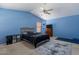 Bright bedroom with blue walls, carpet flooring, and a ceiling fan for added comfort at 6462 E Raftriver St, Mesa, AZ 85215