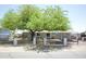 Charming home with a large shade tree in front of the house and a black metal fence at 9733 E Baywood Ave, Mesa, AZ 85208