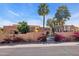 Charming front facade with blooming flowers and mature palm trees providing curb appeal at 1023 E Sahuaro Dr, Phoenix, AZ 85020
