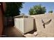 Backyard area featuring shed and brick wall, ideal for storage and privacy at 12965 N 95Th Way, Scottsdale, AZ 85260