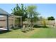 Spacious backyard featuring a well-maintained lawn and mature trees at 14626 N 40Th Way, Phoenix, AZ 85032