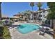 Enjoy this community pool surrounded by palm trees, lounge seating, and a covered gazebo in a resort-style setting at 2025 E Campbell Ave # 248, Phoenix, AZ 85016