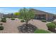 Enjoy the shade of this flowering tree in this xeriscaped backyard at 30446 W Picadilly Rd, Buckeye, AZ 85396