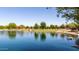 Scenic pond reflecting the clear blue sky surrounded by lush greenery and a gazebo at 3578 E Walnut Rd, Gilbert, AZ 85298