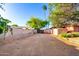 Expansive backyard with a privacy wall, shed, tall palm trees, and ample space for outdoor activities at 6101 E Thunderbird Rd, Scottsdale, AZ 85254
