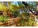 Lush backyard featuring mature trees, a brick-paved path, and vibrant plants, creating a tranquil outdoor space at 6101 E Thunderbird Rd, Scottsdale, AZ 85254