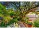 Lush garden with beautiful flowers, a large shade tree, and a brick-lined path for peaceful retreat at 6101 E Thunderbird Rd, Scottsdale, AZ 85254