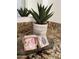 Bathroom decor with aloe plant, soaps on marble countertop and mirror reflection at 7521 S College Ave, Tempe, AZ 85283