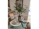 Close up of decorative items, olive tree in a pot on a glass table with wood accents at 7521 S College Ave, Tempe, AZ 85283