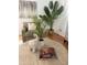 Living room with plants, decorative elephant, book on a round stone coffee table at 7521 S College Ave, Tempe, AZ 85283