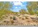 View of desert landscape featuring native trees and shrubs at 8465 W Andrea Dr, Peoria, AZ 85383