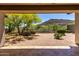 Desert backyard featuring mature tree, gravel, and mountain views at 8647 W Lariat Ln, Peoria, AZ 85383