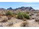 Natural desert landscape featuring native vegetation and rocky terrain, showcasing the beauty of the Arizona environment at 1808 E Hayward Ave # 1, Phoenix, AZ 85020