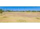 Open baseball field, framed with palm trees at 2039 N 12Th St, Phoenix, AZ 85006