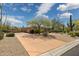 Expansive front yard featuring desert landscaping, mature trees, and a circular driveway at 22469 N 79Th Pl, Scottsdale, AZ 85255