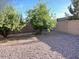 Backyard featuring gravel, trees, and a block wall, offering privacy at 2618 S 81St Ln, Phoenix, AZ 85043
