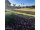 Scenic view of community park with lush green lawn, playground, and palm trees, perfect for Gathering outings at 2618 S 81St Ln, Phoenix, AZ 85043