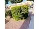 Nicely landscaped front yard with lush green bushes and decorative gravel at 2618 S 81St Ln, Phoenix, AZ 85043