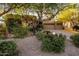 Inviting front yard landscaping with mature trees and a wide driveway to a two-car garage at 29412 N 108Th Pl, Scottsdale, AZ 85262