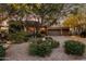 Charming home featuring desert landscaping with cacti, flowering bushes, and mature trees at 29412 N 108Th Pl, Scottsdale, AZ 85262